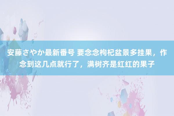 安藤さやか最新番号 要念念枸杞盆景多挂果，作念到这几点就行了，满树齐是红红的果子