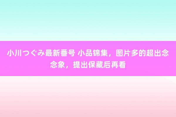 小川つぐみ最新番号 小品锦集，图片多的超出念念象，提出保藏后再看