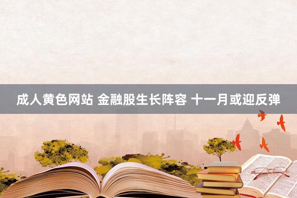 成人黄色网站 金融股生长阵容 十一月或迎反弹