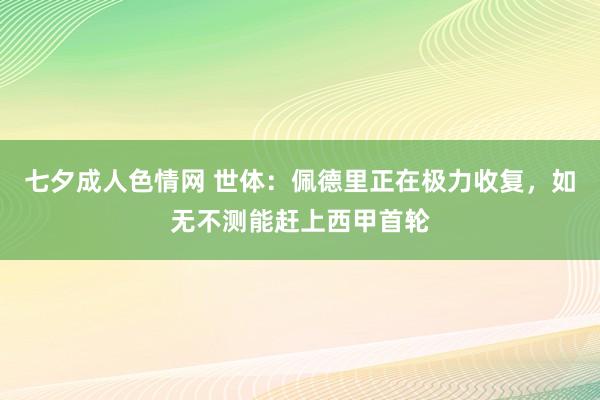 七夕成人色情网 世体：佩德里正在极力收复，如无不测能赶上西甲首轮