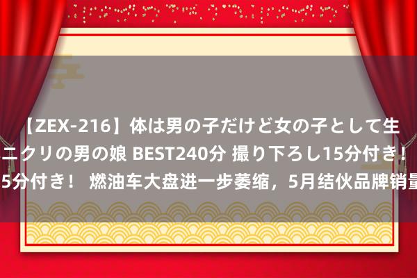 【ZEX-216】体は男の子だけど女の子として生きてる 感じやすいペニクリの男の娘 BEST240分 撮り下ろし15分付き！ 燃油车大盘进一步萎缩，5月结伙品牌销量同比着落超两成