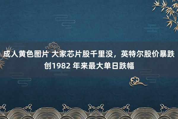 成人黄色图片 大家芯片股千里没，英特尔股价暴跌创1982 年来最大单日跌幅