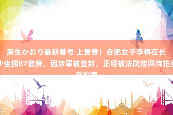 麻生かおり最新番号 上贯穿！合肥女子李梅在长沙坐拥87套房，因涉罪被查封，正经被法院挂网待拍卖