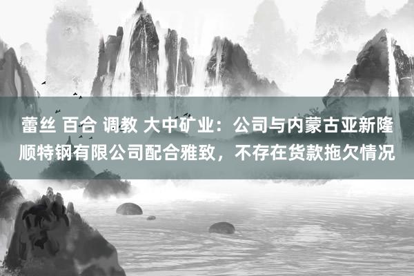 蕾丝 百合 调教 大中矿业：公司与内蒙古亚新隆顺特钢有限公司配合雅致，不存在货款拖欠情况