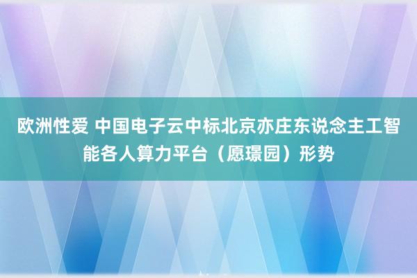 欧洲性爱 中国电子云中标北京亦庄东说念主工智能各人算力平台（愿璟园）形势