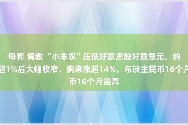 母狗 调教 “小非农”压低好意思股好意思元，纳指涨超1%后大幅收窄，蔚来涨超14%，东谈主民币16个月最高