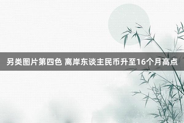 另类图片第四色 离岸东谈主民币升至16个月高点