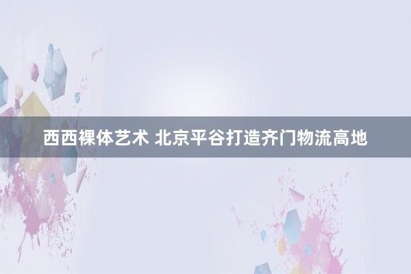 西西裸体艺术 北京平谷打造齐门物流高地