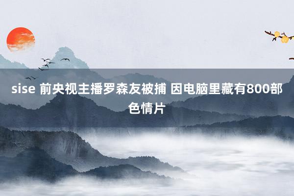 sise 前央视主播罗森友被捕 因电脑里藏有800部色情片