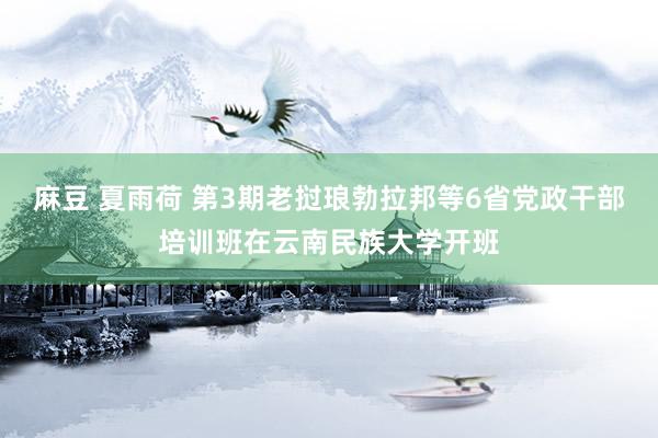 麻豆 夏雨荷 第3期老挝琅勃拉邦等6省党政干部培训班在云南民族大学开班